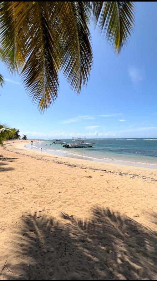 Lovely Beachfront 2 Bedrooms Condo With 2 Pools Las Terrenas Exterior photo